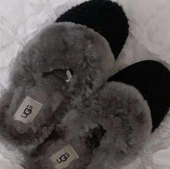 UGG Shoes - Ugg slippers 8